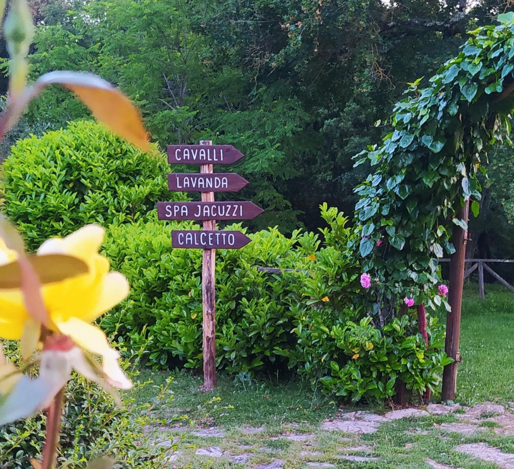 Agriturismo Podere Poggiarone ราโปลาโนแตร์เม ภายนอก รูปภาพ